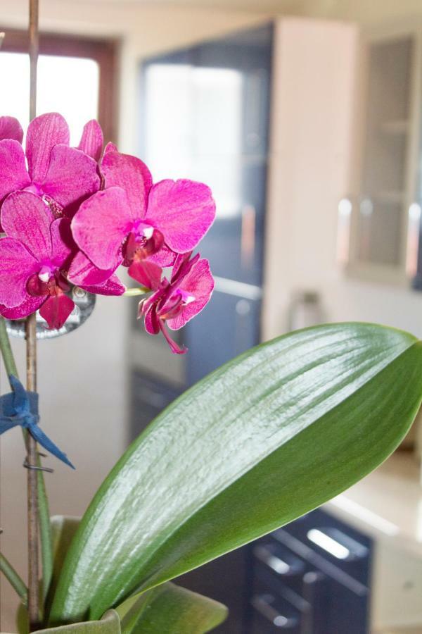 Apartments Klaric マカルスカ エクステリア 写真